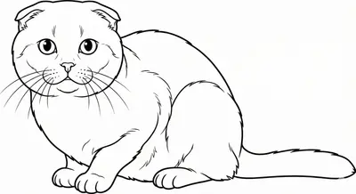 Scottish Fold Cat Printable Coloring Page