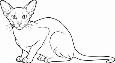 Siamese Cat Printable Coloring Page