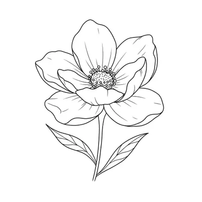 Flower Coloring Page 004
